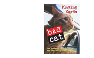 bad cat set